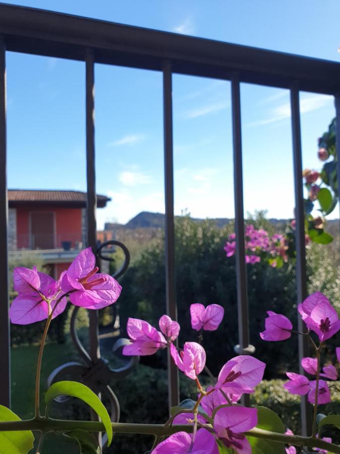La Fenice Holiday Apartment 马内尔巴 外观 照片